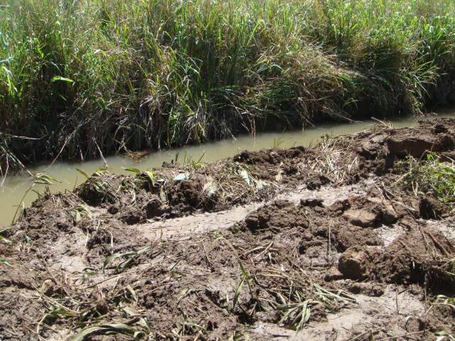  Propriet&aacute;rio rural &eacute; multado em R$ 10 mil por destruir &aacute;rea de preserva&ccedil;&atilde;o