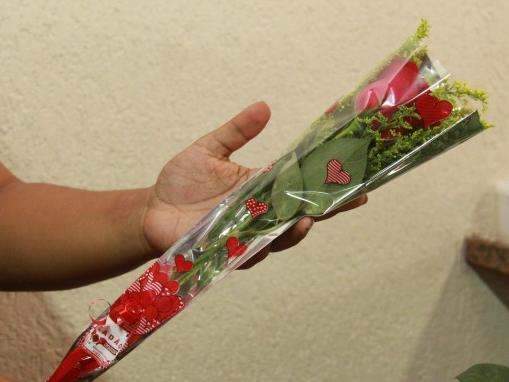 Floriculturas lotadas aumentam as vendas em at&eacute; 90% no Dia da Mulher