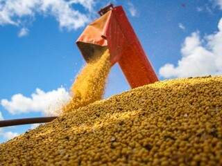 Mato Grosso do Sul havia vendido 78,28% das 9,5 milhões de toneladas da soja colhida na safra 2017/2018 até a última segunda-feira, o que corresponde a aproximadamente 7 milhões de toneladas (Foto: Marcos Ermínio/arquivo)