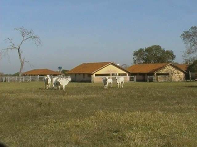  Justi&ccedil;a vai leiloar fazenda avaliada em R$ 3,5 milh&otilde;es em Corumb&aacute; 