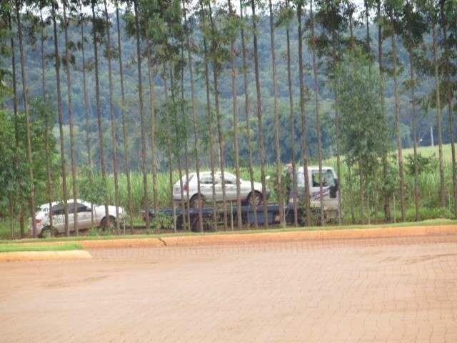 Justi&ccedil;a apreende bens em usina de a&ccedil;&uacute;car e &aacute;lcool que pertence a Bumlai