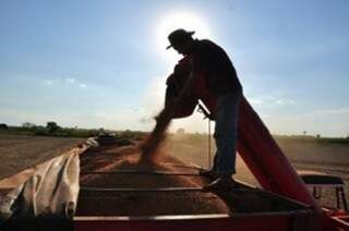 A venda de soja lidera o ranking de exportação, com faturamento de U$ 1,164 bilhão de janeiro a setembro de 2013. (Foto: Arquivo)