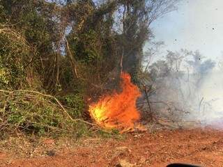 Incêndio atingiu 9 hectares (Foto: Divulgação/PMA)