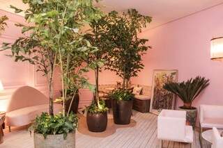 Lounge do Resort com uso de madeira no chão, plantas ornamentais, sem perder o charme das boisaires na parede. (Foto: Kísie Ainoã)
