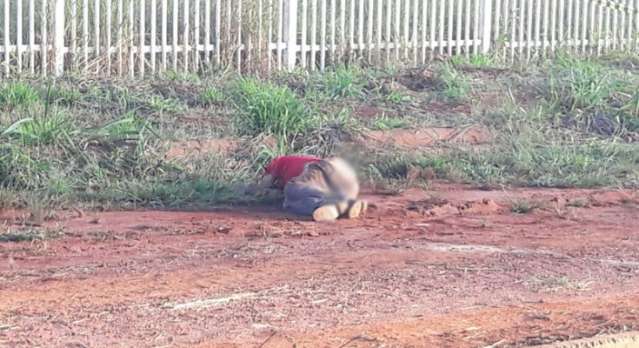 Corpo de homem &eacute; encontrado com perfura&ccedil;&atilde;o e sinais de viol&ecirc;ncia