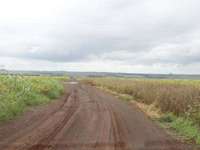 Chuva acima da m&eacute;dia paralisa colheita da soja na regi&atilde;o de Dourados