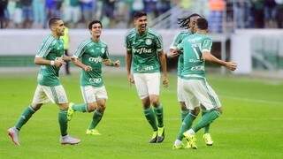 Palmeirenses comemorando o gol de Leandro Pereira na vitória por 1 a 0 diante do Santos (Foto: G1)