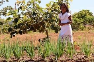 Aldeias indígenas da Capital receberão 3,5 milhões para produção de Horticultura