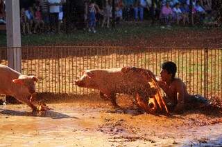 Antônio bem que tentou, mas o porco foi mais rápido durante a competição de Pega Leitão em São Gabriel do Oeste (Foto: Marcos Ermínio)