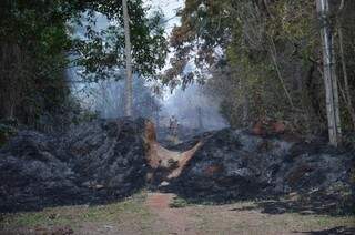 Fogo atingiu área de três hectares. (Foto: Vanessa Tamires)