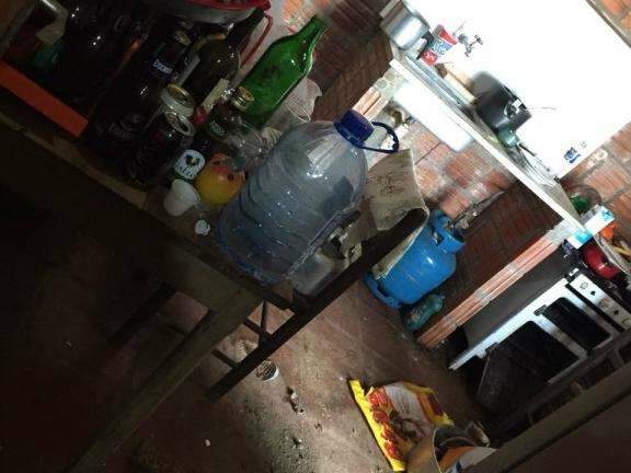 Chamada ap&oacute;s disparo de arma, pol&iacute;cia acha 19 c&atilde;es v&iacute;timas de maus-tratos