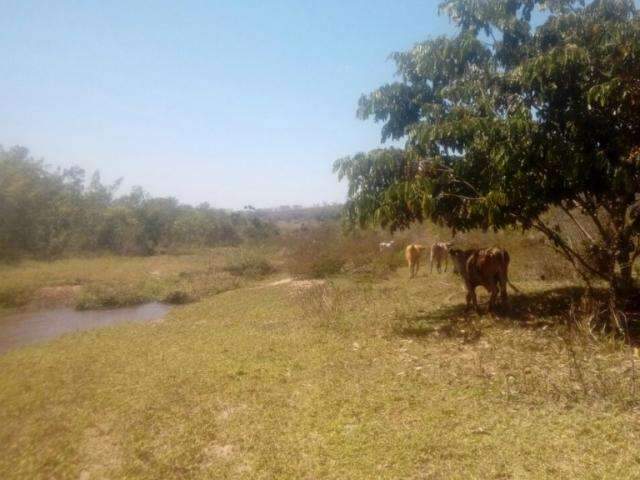 Fazendeiro &eacute; multado em R$ 5 mil por degrada&ccedil;&atilde;o do meio ambiente