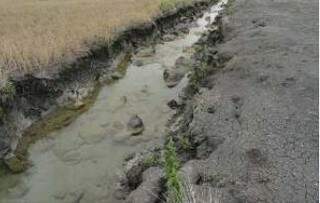 Fotografia de dreno anexada ao processo que tramita em Bonito. (Foto: Reprodução)