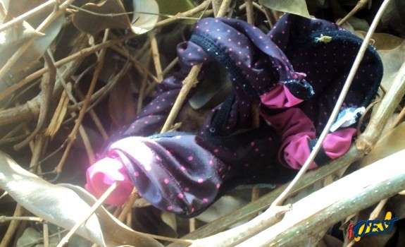 Suspeito de estupro &eacute; morto ap&oacute;s reagir a pris&atilde;o em S&atilde;o Gabriel do Oeste