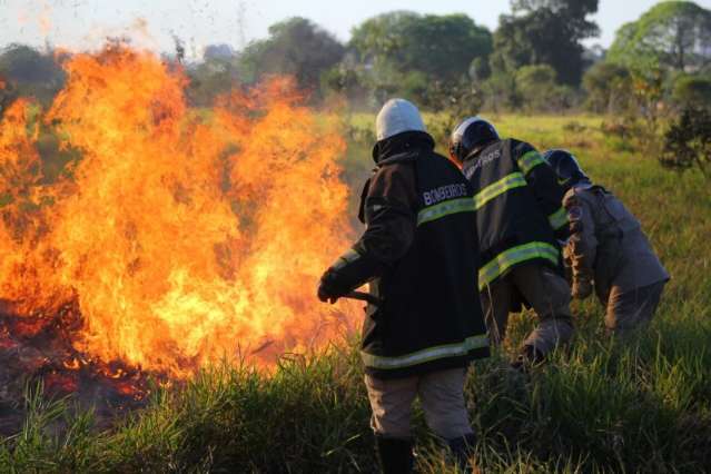 Chamas se alastram em terreno e Bombeiros tentam apagar com abafadores