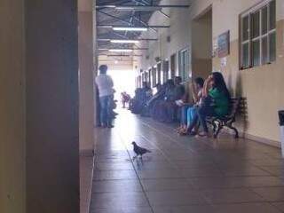 Pombo em corredor enquanto pacientes esperam atendimentos. (Foto: André Bittar)