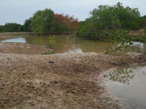 Pecuarista &eacute; multado em mais de R$ 20 mil por represar e degradar nascente 