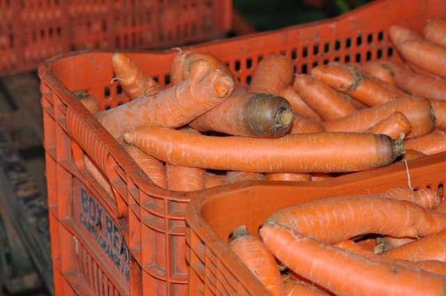 Governo abre licita&ccedil;&atilde;o para agricultor familiar interessado em fornecer merenda