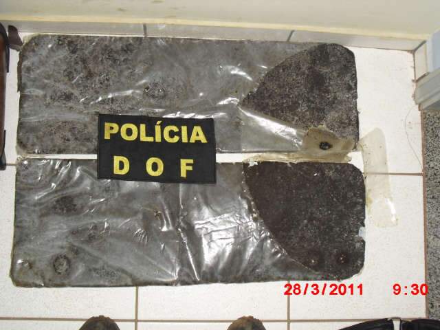  Rapaz &eacute; preso em Amambai tentando levar 2,17 quilos de haxixe para o RJ