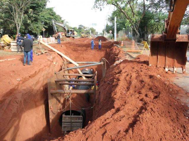 Parque dos Poderes perde mais uma &aacute;rea de mata para obras de drenagem