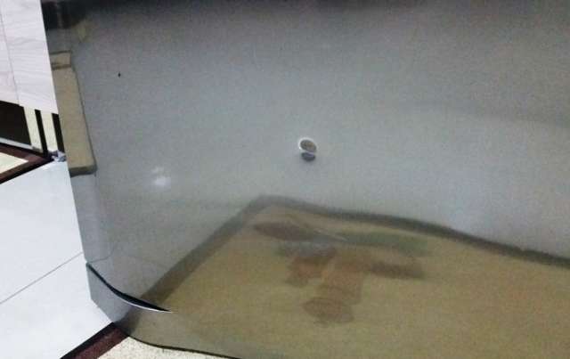 Bandidos invadem casa, rendem fam&iacute;lias e matam comerciante a tiros