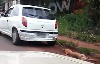 Cachorro é arrastado por ruas do Bairro Los Angeles. (Foto: reprodução/vídeo)