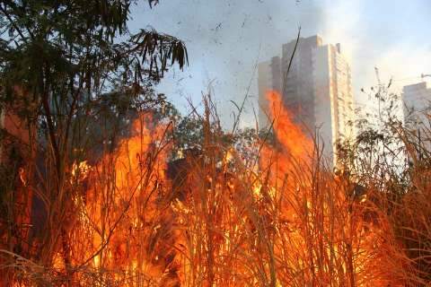 Incêndio atinge terreno na Ceará e bombeiros atendem 17 focos por dia