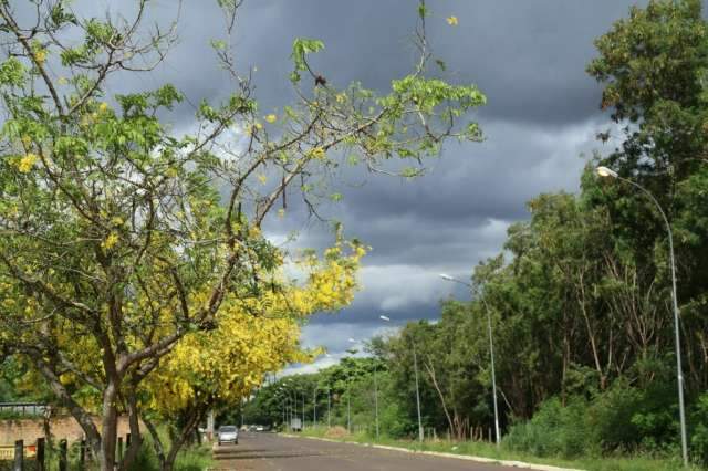 Chove em toda a regi&atilde;o norte de MS ao longo da BR-163