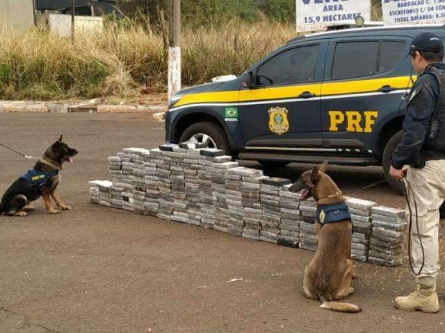 Coca&iacute;na avaliada em 6 milh&otilde;es de d&oacute;lares seria enviada para a Europa