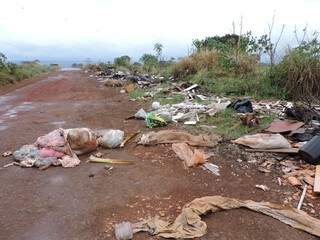 Animal foi carneado em estrada vicinal e restos da vaca estão no meio de lixo jogado no local. (Foto: Vinícius Santana/ Direto das Ruas)