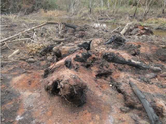  Fazendeiro &eacute; multado em R$ 12,5 mil por desmatamento e inc&ecirc;ndio em propriedade 