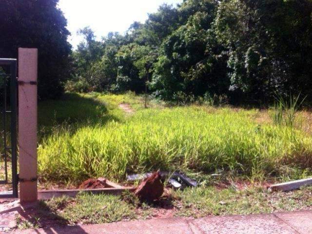 Leitor registra foto de cerca aberta pr&oacute;ximo ao Cras no Parque dos Poderes