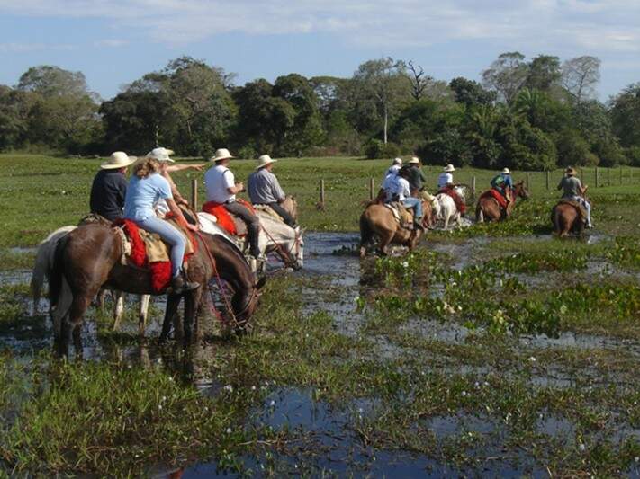 G1 - No Pantanal de MS, cavalgada entre fazendas pode durar até uma semana  - notícias em Mato Grosso do Sul