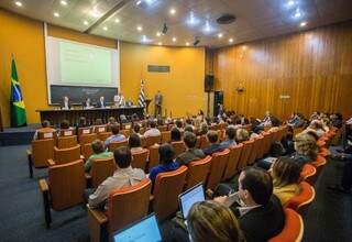Reunião com representes de centros de pesquisa em São Paulo; técnicos da UFMS participaram (Foto: Secretaria de Saúde de São Paulo/Divulgação)