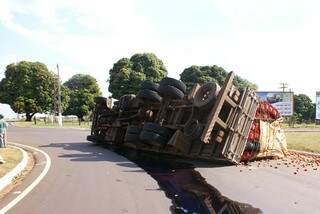 A carga ficou espalhada na rodovia. (Foto: Vicentina Online)