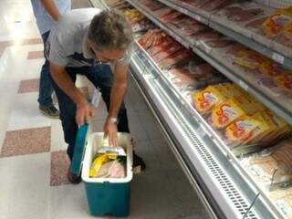 Coleta tem como foco produtos alvo da operação Carne Fraca (Foto: Divulgação)
