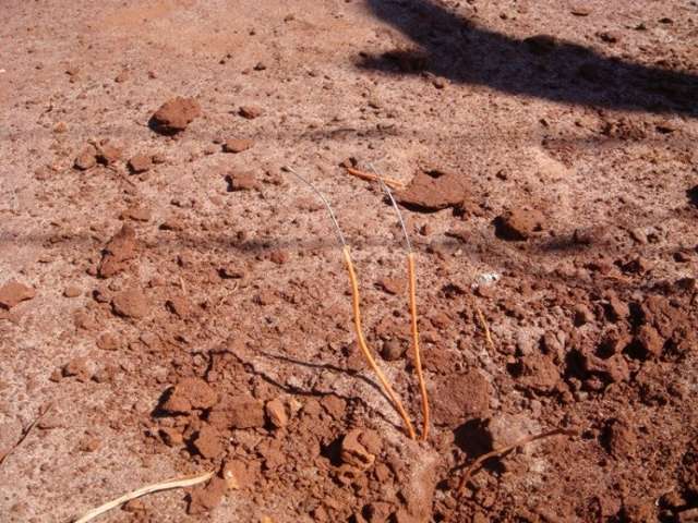 Jovem de 23 anos ferido em explos&atilde;o de artefato est&aacute; em estado grave