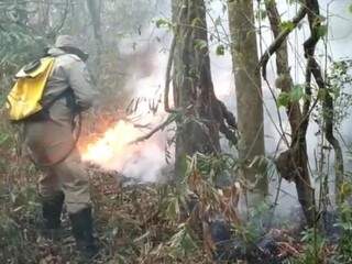 Combate ao fogo no Parque Estadual das Várzeas do Rio Ivinhema (Foto: Reprodução)
