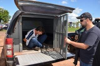 Homem que matou médica é colocado em viatura (Foto: Léo Veras/Porã News)