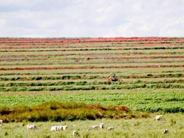 Agesul fiscaliza estradas para conter turvamento dos Rios da Prata e Formoso