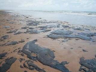 Manchas escuras começaram a surgir em praias do Nordeste no mês de agosto. (Foto: Agência Brasil)