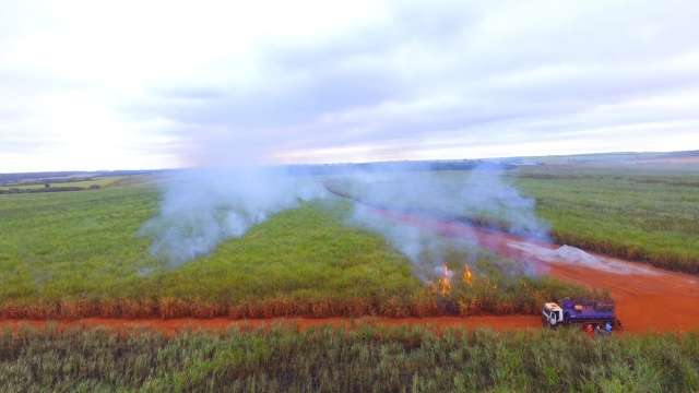 Usina de cana &eacute; multada em meio milh&atilde;o por inc&ecirc;ndio em vegeta&ccedil;&atilde;o