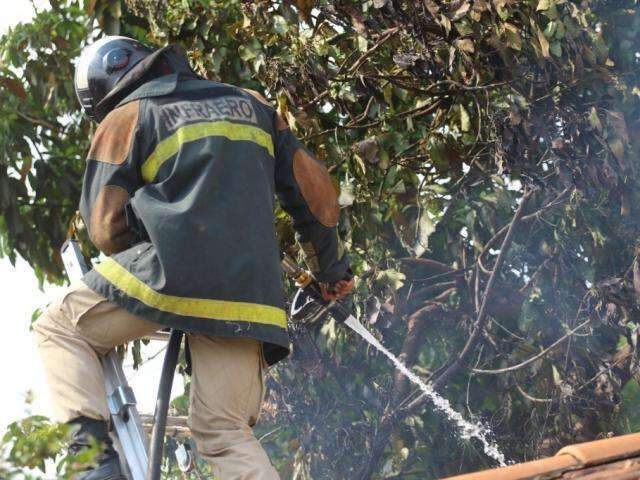 Homem coloca fogo em mato seco, assusta vizinha e at&eacute; PM &eacute; acionada