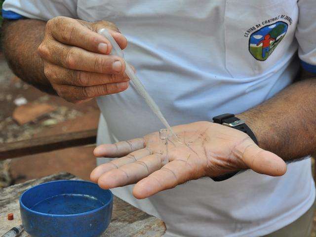 Sa&uacute;de alerta popula&ccedil;&atilde;o ap&oacute;s 94 casos notificados de chikungunya