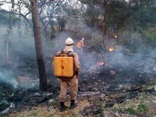 Bombeiro combate as chamas em fazenda (Foto/Divulgação)