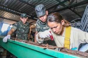 Campanha de mobiliza&ccedil;&atilde;o nacional contra dengue ser&aacute; lan&ccedil;ada na sexta