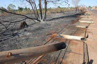 Fogo destrui cerca de parque ambiental (Foto: Simão Nogueira)