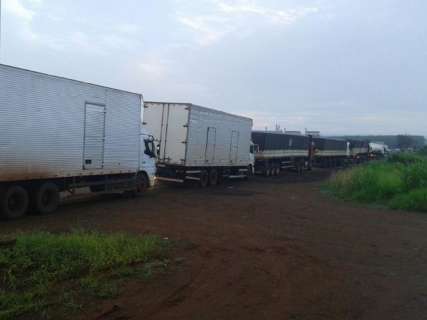 DOF intercepta comboio de oito carretas com cigarro do Paraguai