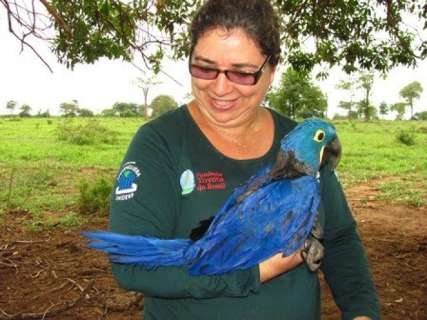 Projeto Arara Azul é finalista em prêmio nacional de conservação 
