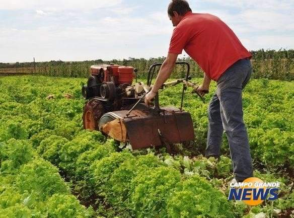  Pre&ccedil;o da cesta b&aacute;sica cai 2,68%, mas acumula no ano aumento de 10,16%